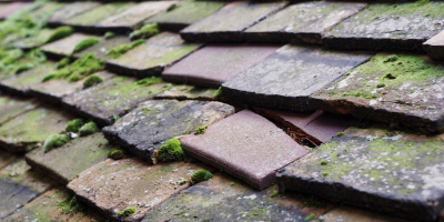 Llansadwrn roof repair costs